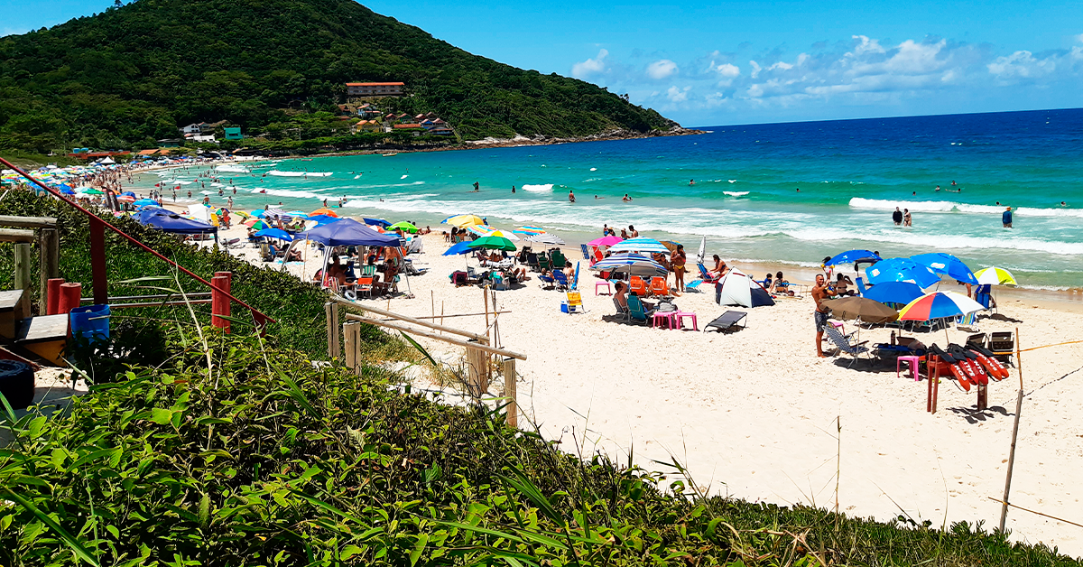 Guía Santa Catarina